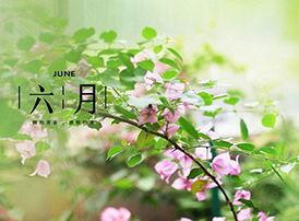 再见六月,告别六月的时光印记  第2张