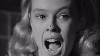 桑迪·韦克斯勒  第2张